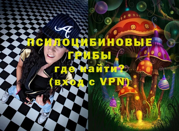 МДПВ Алзамай