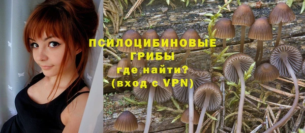 кокаин премиум Алексеевка