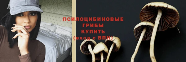 МДПВ Алзамай